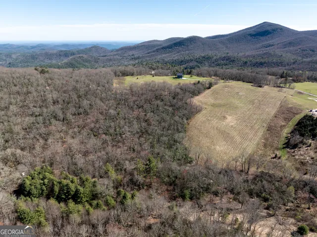 $2,000,000 | 10384 Hale Ridge Road, Dillard, GA 30537