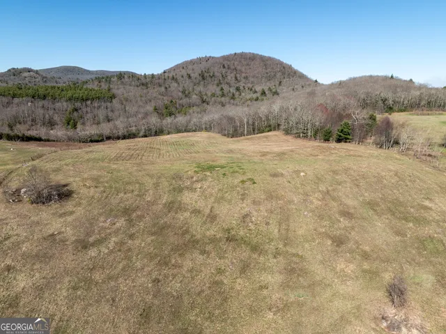 $2,000,000 | 10384 Hale Ridge Road, Dillard, GA 30537