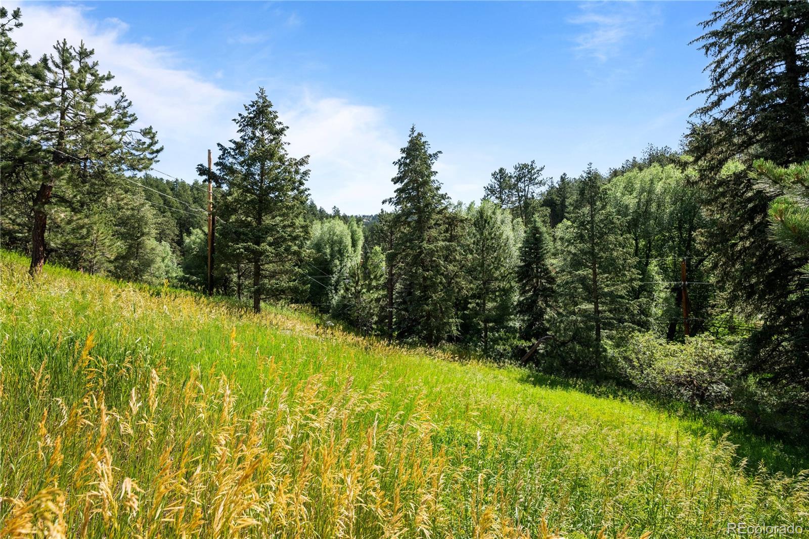 5211 Parmalee Gulch Road Indian Hills, CO 80454 - Photo 33 of 43 a view of outdoor space and yard