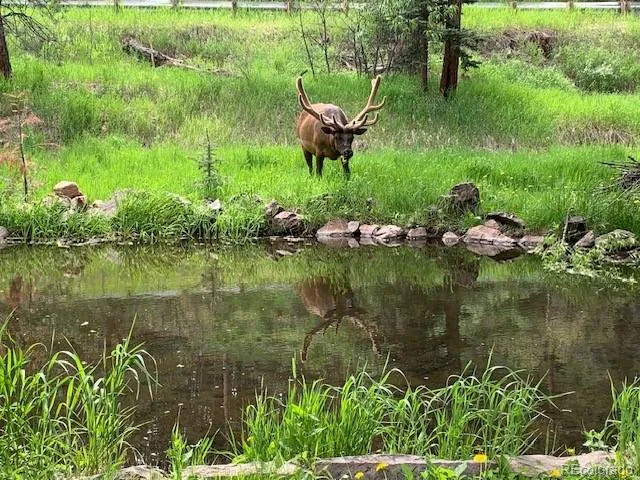 $650,000 | 5211 Parmalee Gulch Road, Indian Hills, CO 80454