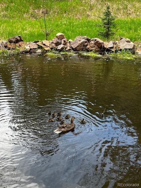 5211 Parmalee Gulch Road Indian Hills, CO 80454 - Photo 38 of 43 a view of a ocean with boats and trees in the background