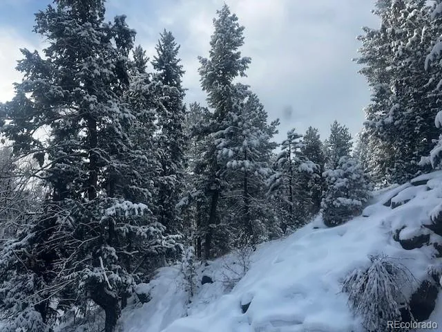 $650,000 | 5211 Parmalee Gulch Road, Indian Hills, CO 80454