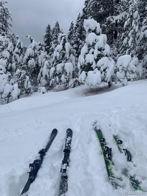 5211 Parmalee Gulch Road Indian Hills, CO 80454 - Photo 41 of 43