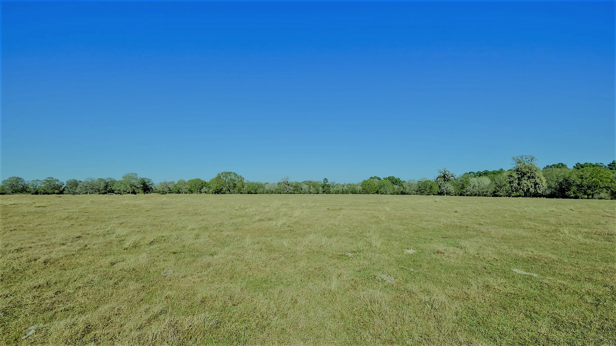 26266 Fields Store Road Waller, TX 77484 - Photo 45 of 49 Gallery Image 45