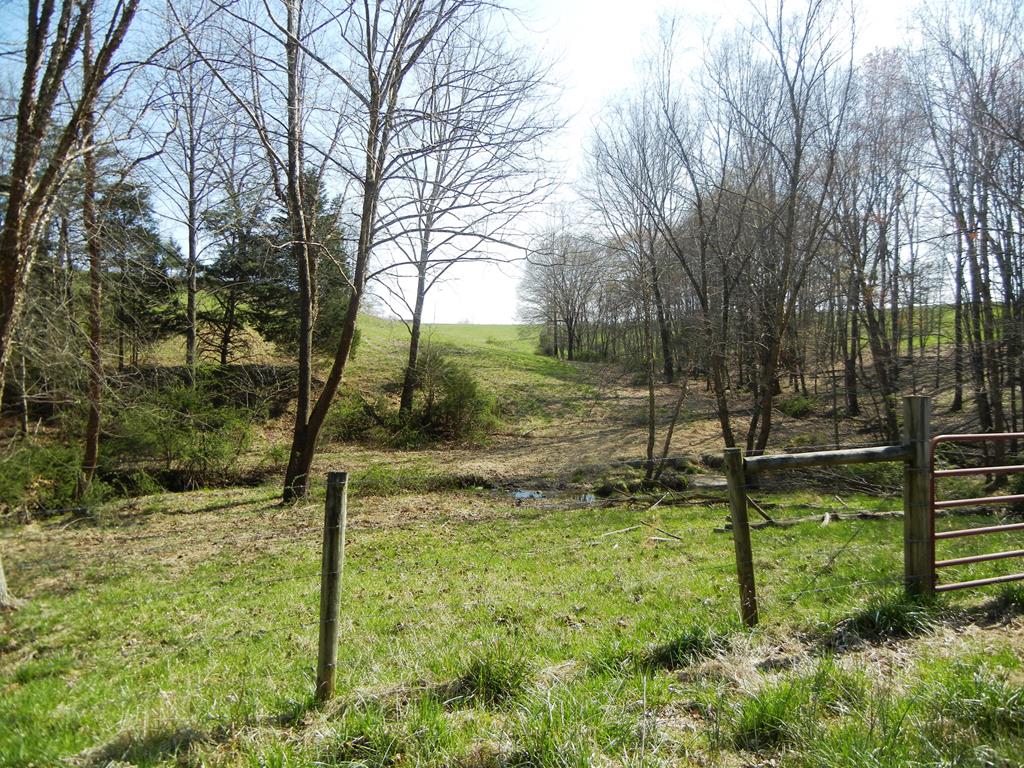 Mill Road Dillwyn, VA 23936 - Photo 19 of 29 Gallery Image 19
