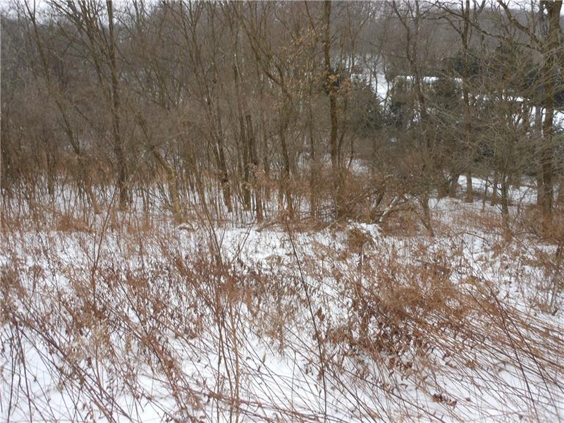 0 Carbon Center Road Butler, PA 16002 - Photo 2 of 4