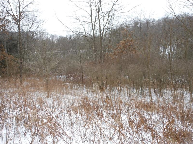 0 Carbon Center Road Butler, PA 16002 - Photo 3 of 4