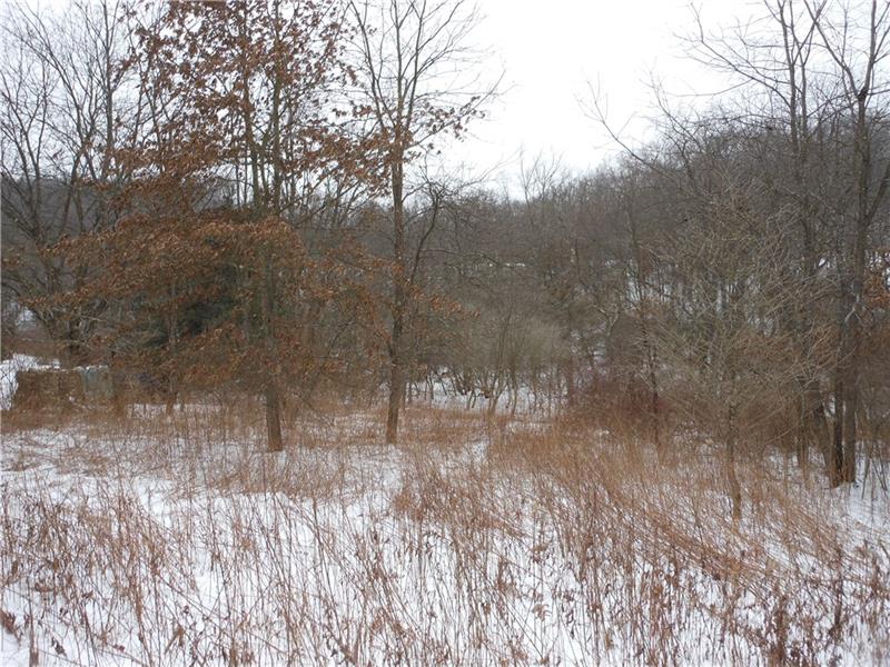 0 Carbon Center Road Butler, PA 16002 - Photo 4 of 4