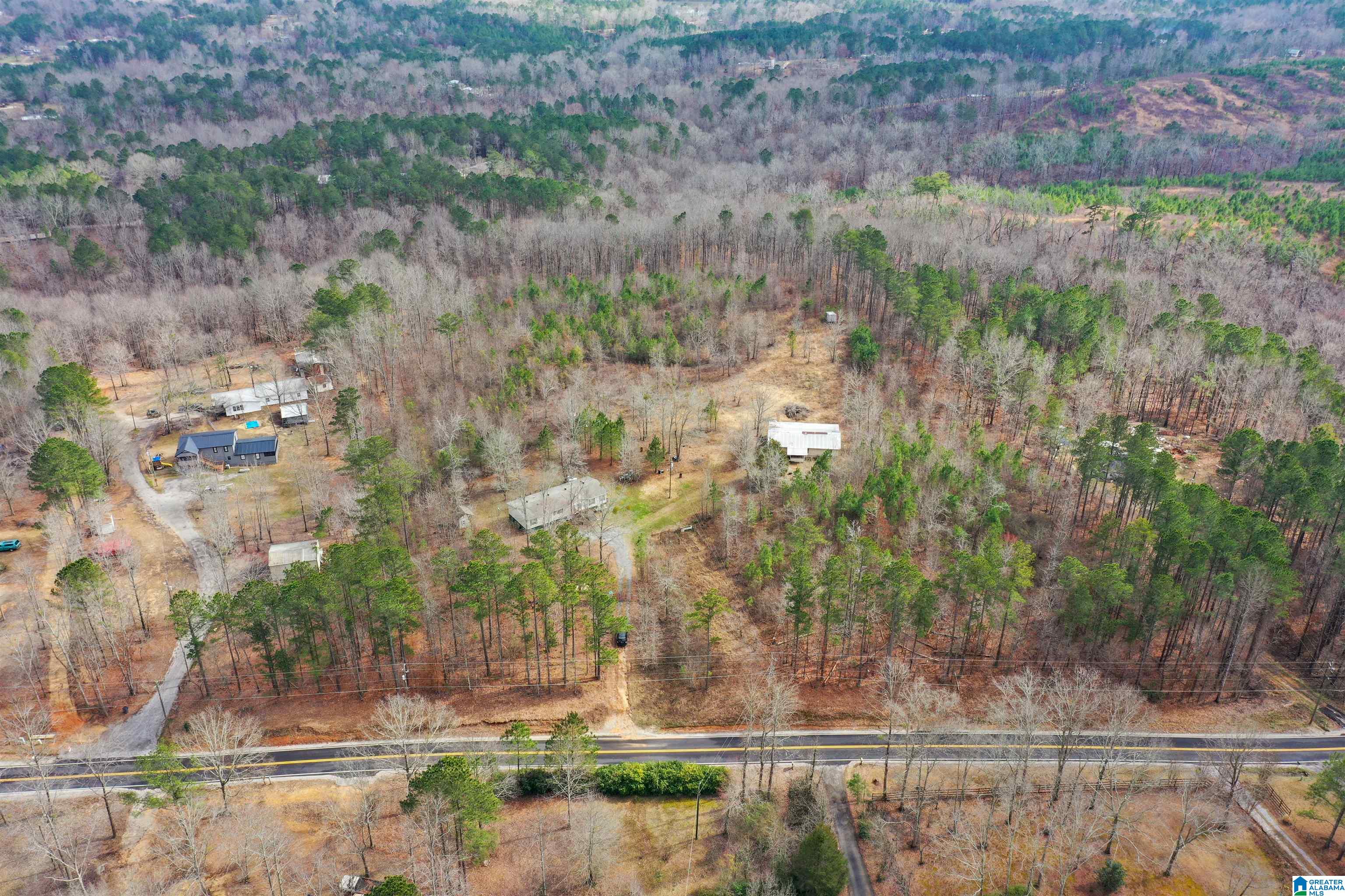 2226 Chula Vista Mtn Road Pell City, AL 35125 - Photo 41 of 47