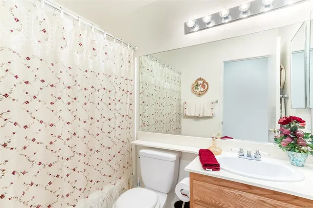 a bathroom with a sink toilet and vanity
