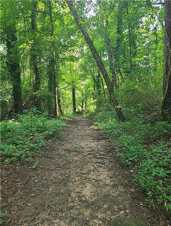 932 Manor Parc Drive Decatur, GA 30033 - Photo 36 of 38 a view of a forest with trees in the background