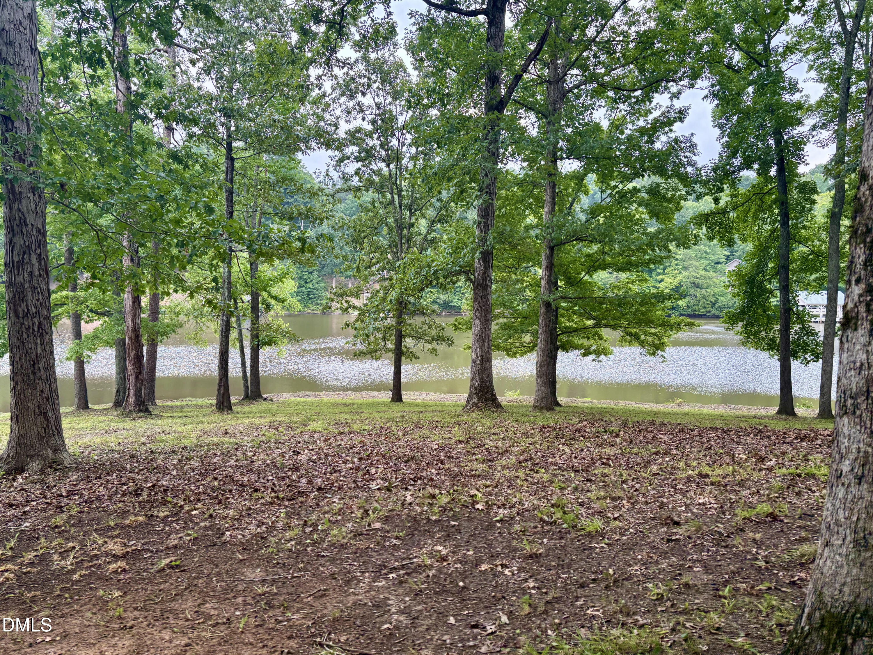 1154 Hyco Hills Road Semora, NC 27343 - Photo 3 of 19 Lake View