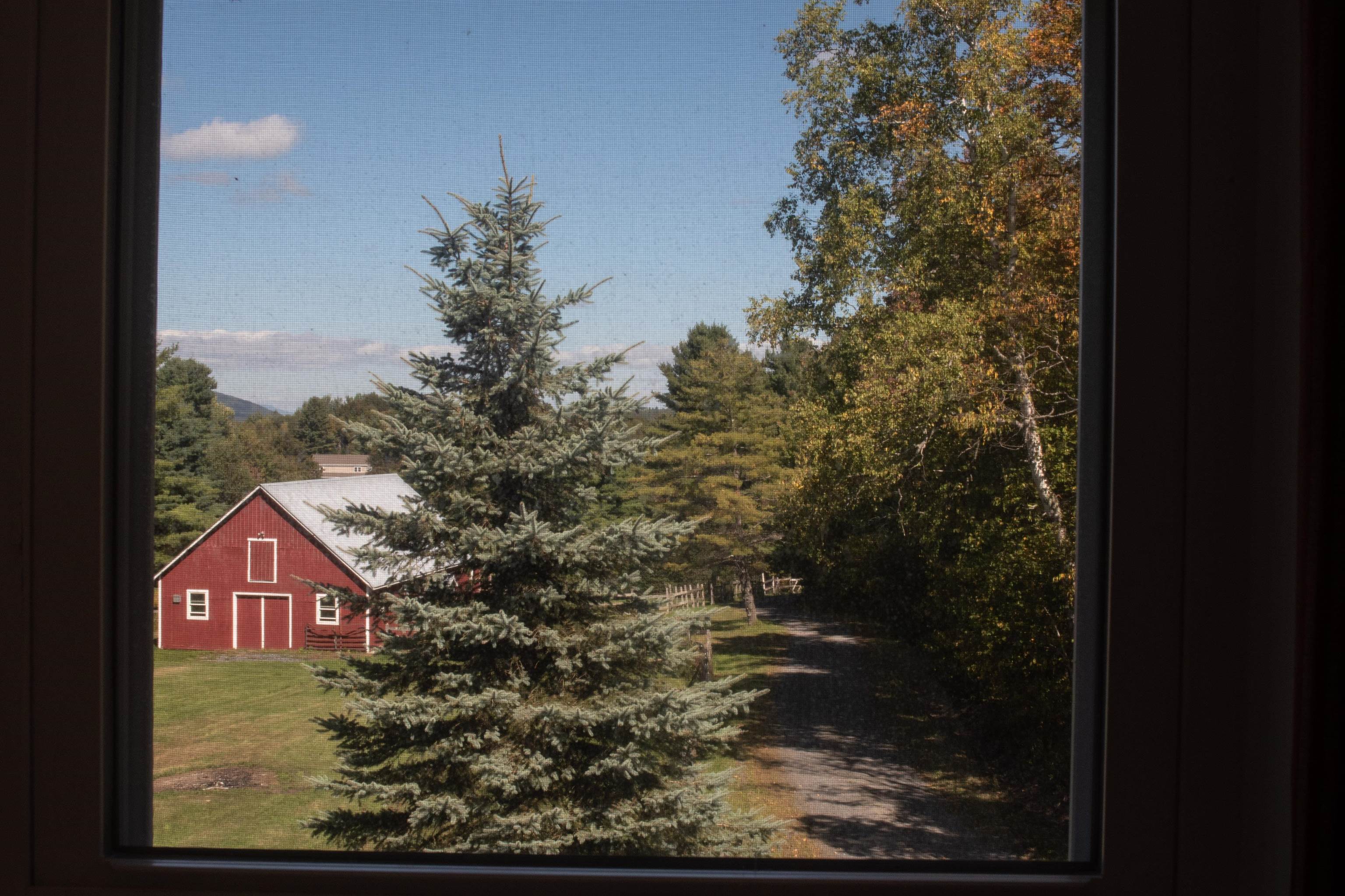 305 Getz Road Williamstown, VT 05679 - Photo 13 of 31