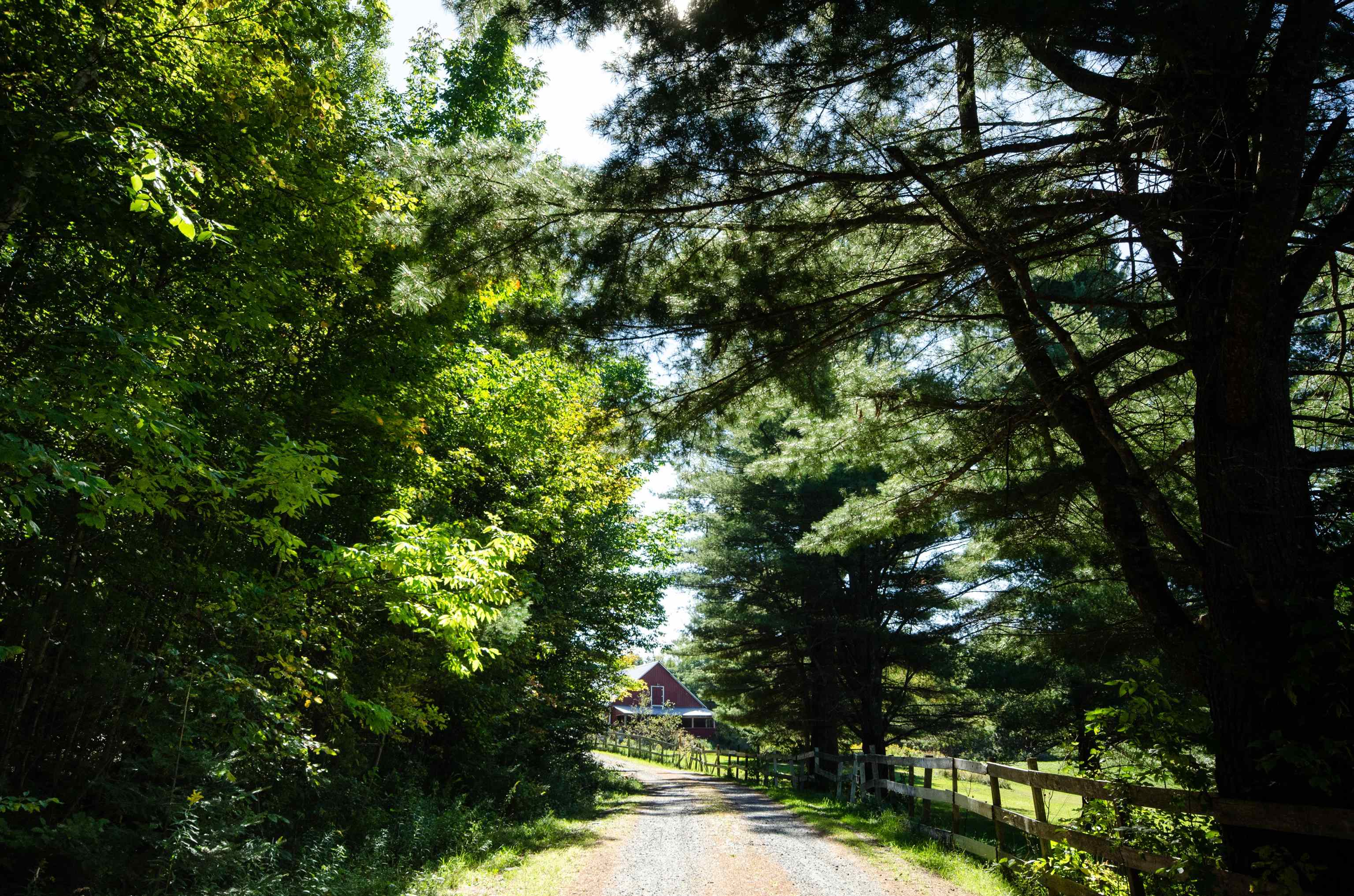 305 Getz Road Williamstown, VT 05679 - Photo 31 of 31