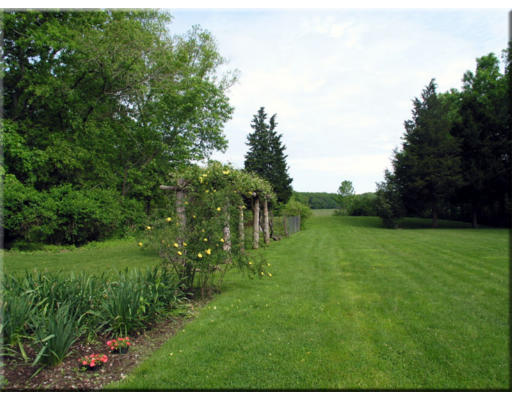 168 Argilla Road Ipswich, MA 01938 - Photo 14 of 27 a big yard with lots of green space