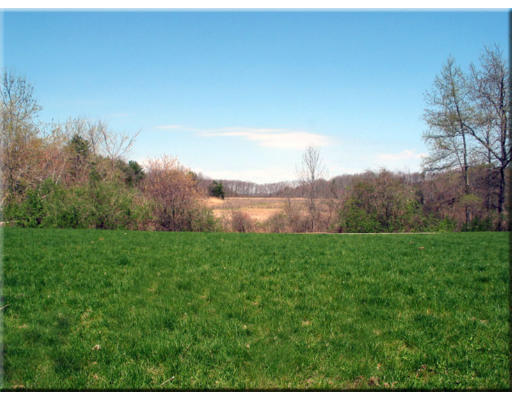 168 Argilla Road Ipswich, MA 01938 - Photo 15 of 27 a view of a big yard with large trees