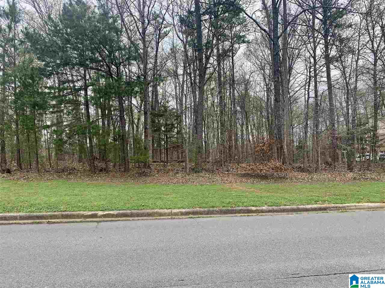 0 Hickory Ridge Road, Unit 40 Ragland, AL 35131 - Photo 4 of 7