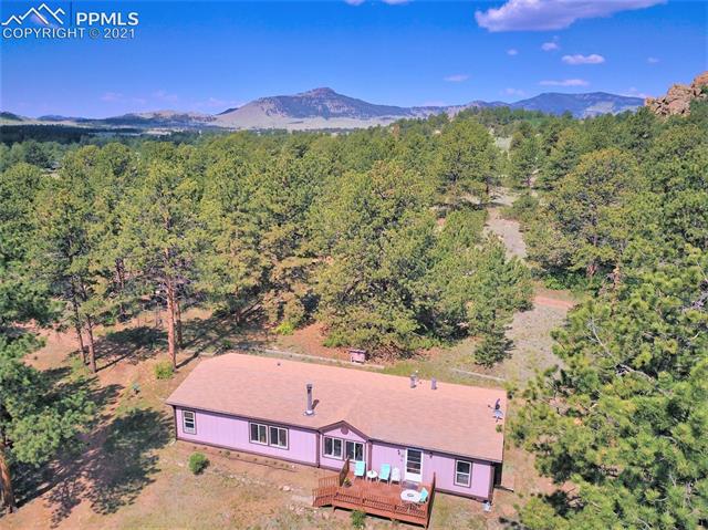 2325 Doe Valley Road Guffey, CO 80820 - Photo 4 of 18 Tranquil, Peaceful, Forested Setting.