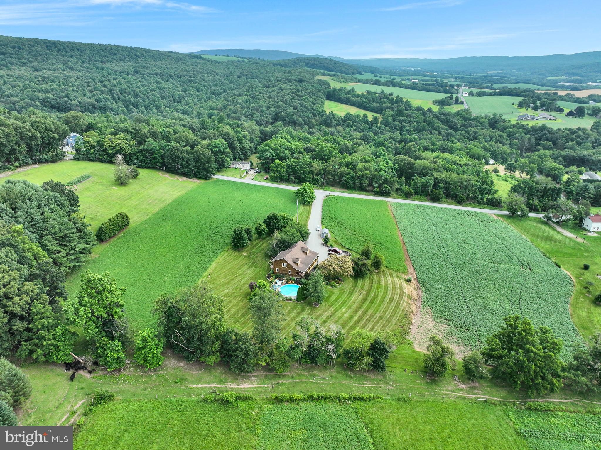 1105 Ridge Road Halifax, PA 17032 - Photo 4 of 61 a view of a lush green forest