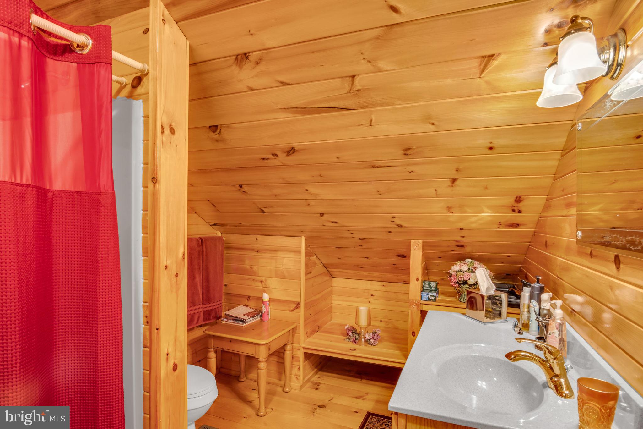 1105 Ridge Road Halifax, PA 17032 - Photo 42 of 61 a bathroom with a sink a mirror and shower