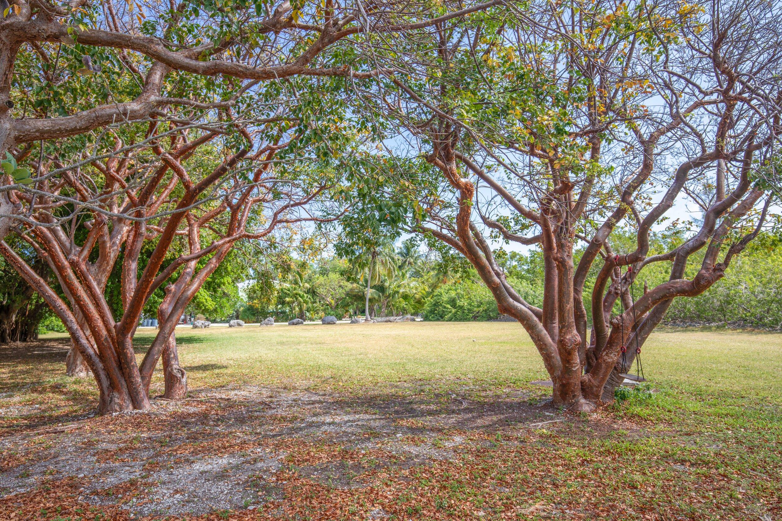 19657 Seminole Street Sugarloaf, FL 33042 - Photo 9 of 9 001