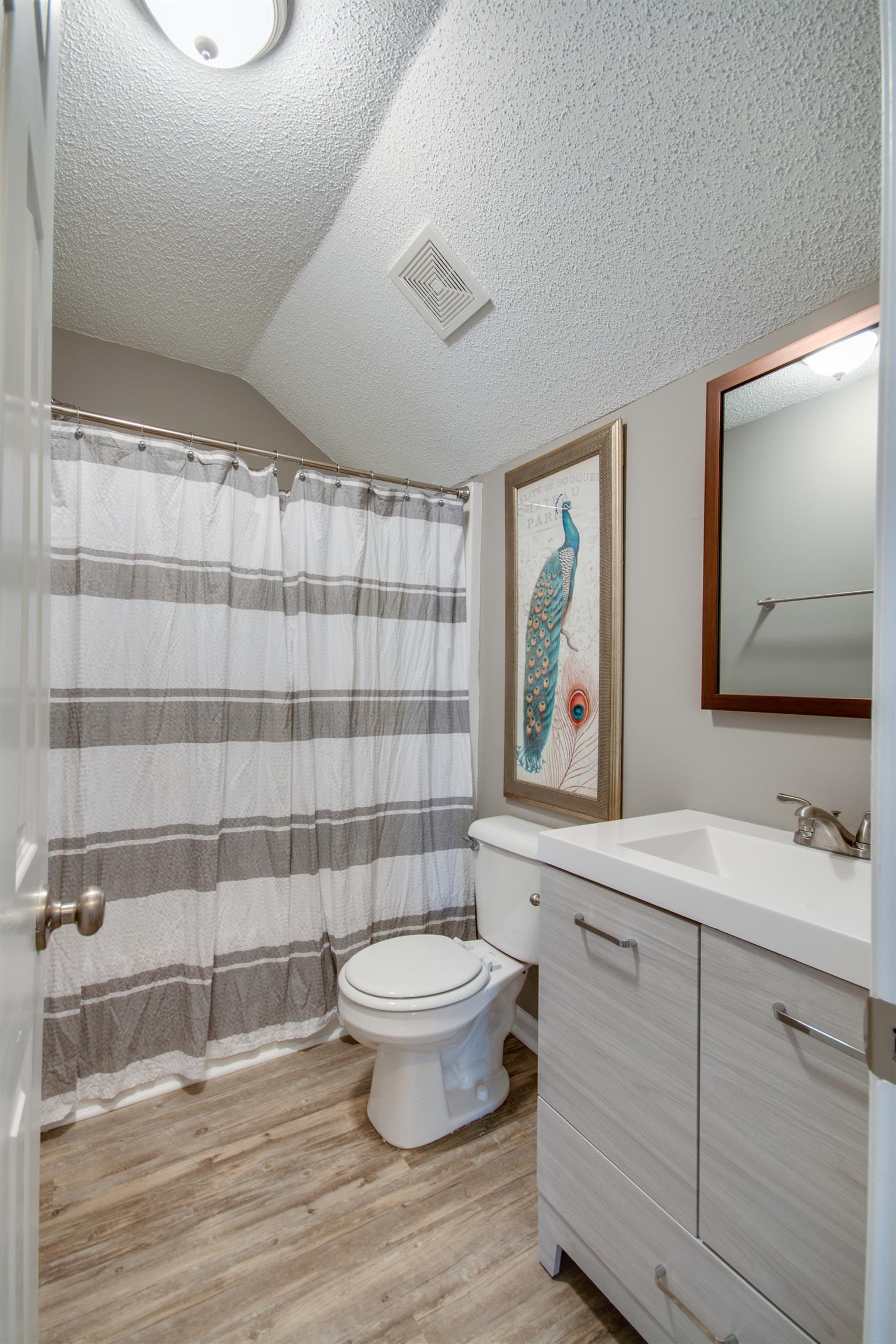 1508 Rochester Drive Murfreesboro, TN 37130 - Photo 16 of 21 Completely updated with all new lighting and vanity... this full bathroom is bright and refreshing!