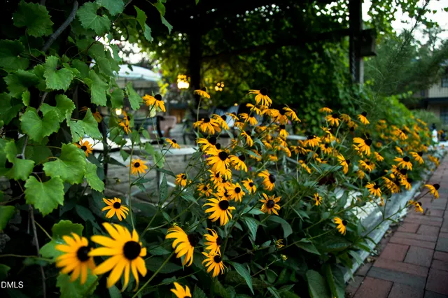 $245,000 | 807 West Trinity Avenue, Unit 130, Durham, NC 27701