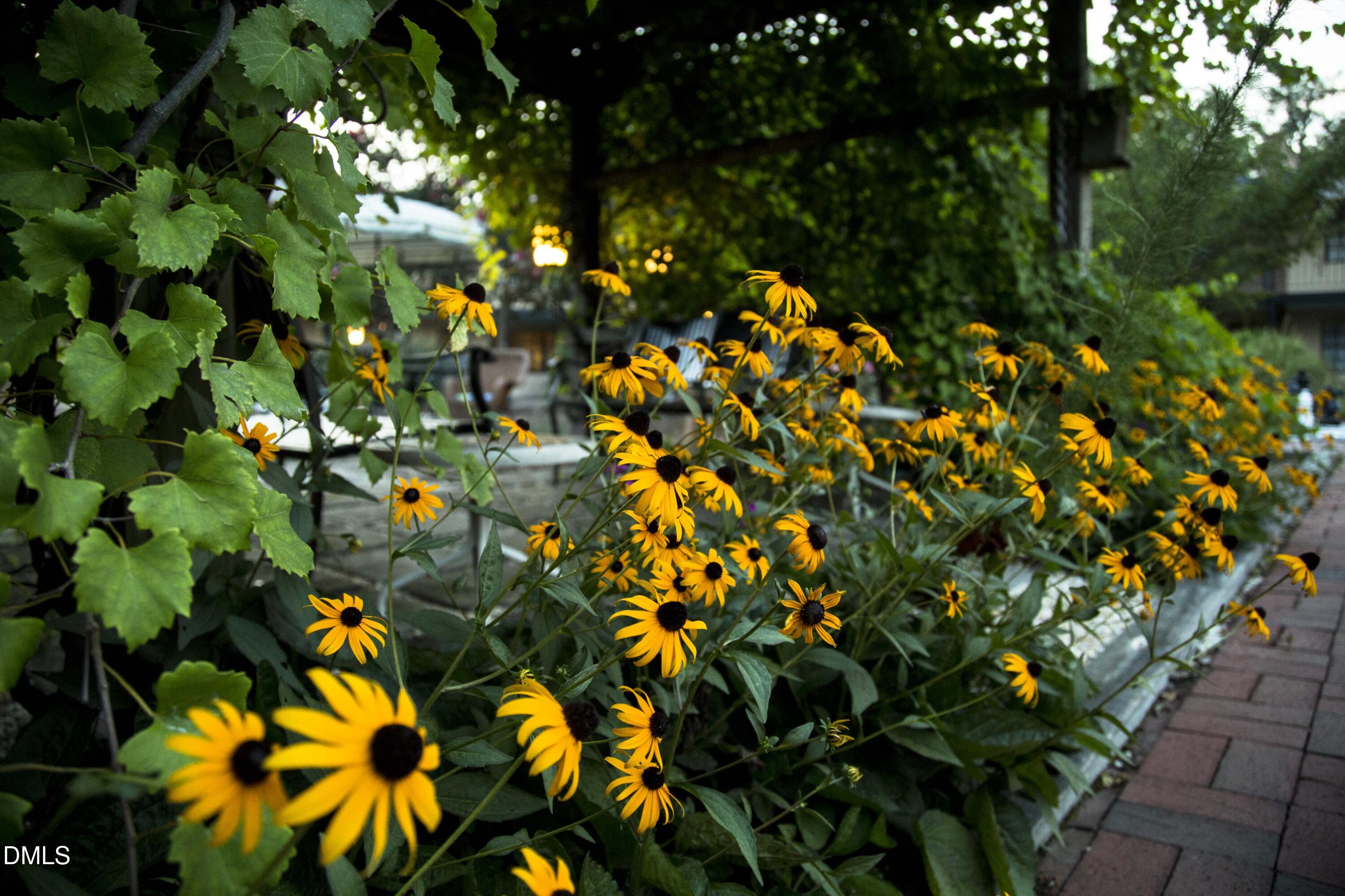 807 West Trinity Avenue, Unit 130 Durham, NC 27701 - Photo 40 of 44 a view of flowers