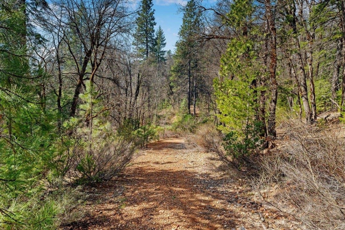 Lot 4 Circle 7 Road McCloud, CA 96057 - Photo 4 of 13 Gallery Image 4