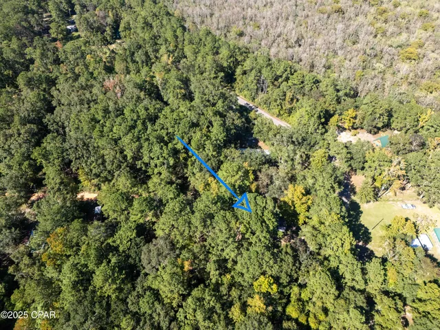 $120,000 | 696 Smokehouse Lake Road, Ponce de Leon, FL 32455