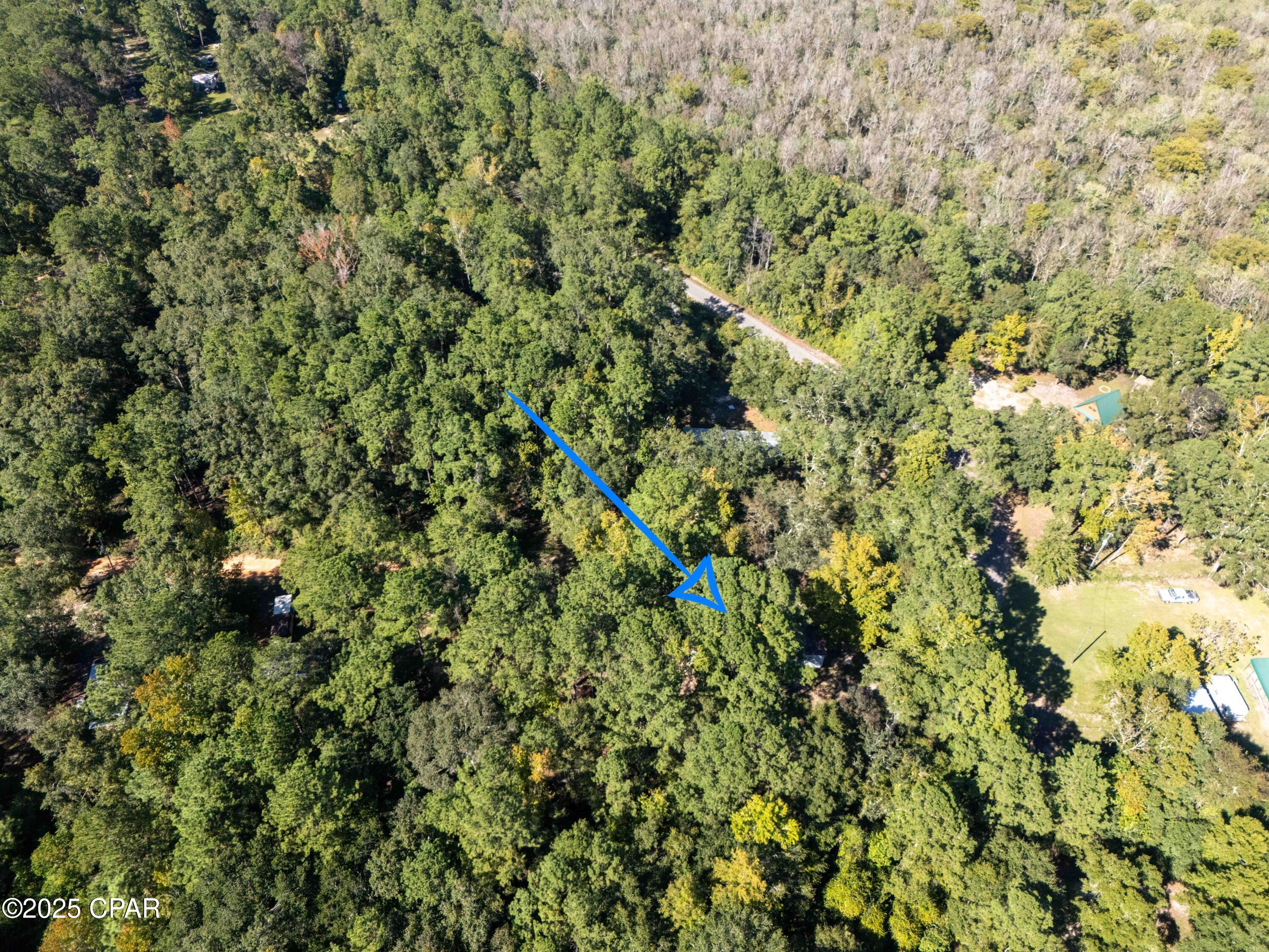 696 Smokehouse Lake Road Ponce de Leon, FL 32455 - Photo 20 of 31