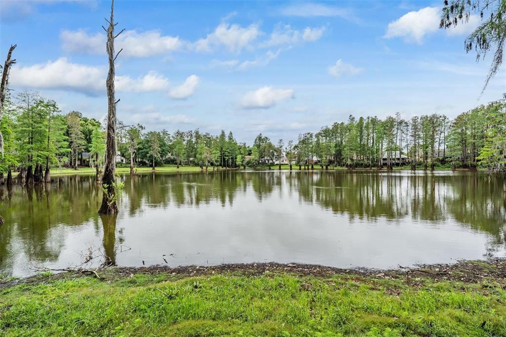 3428 Valley Ranch Drive Lutz, FL 33548 - Photo 3 of 48