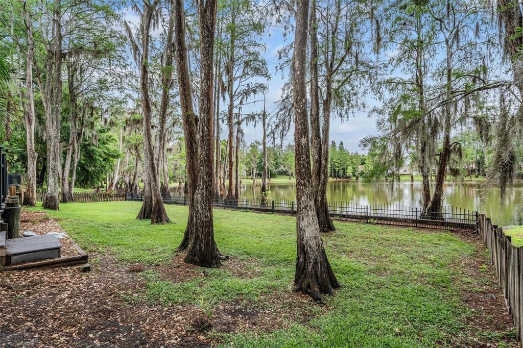 3428 Valley Ranch Drive Lutz, FL 33548 - Photo 40 of 48