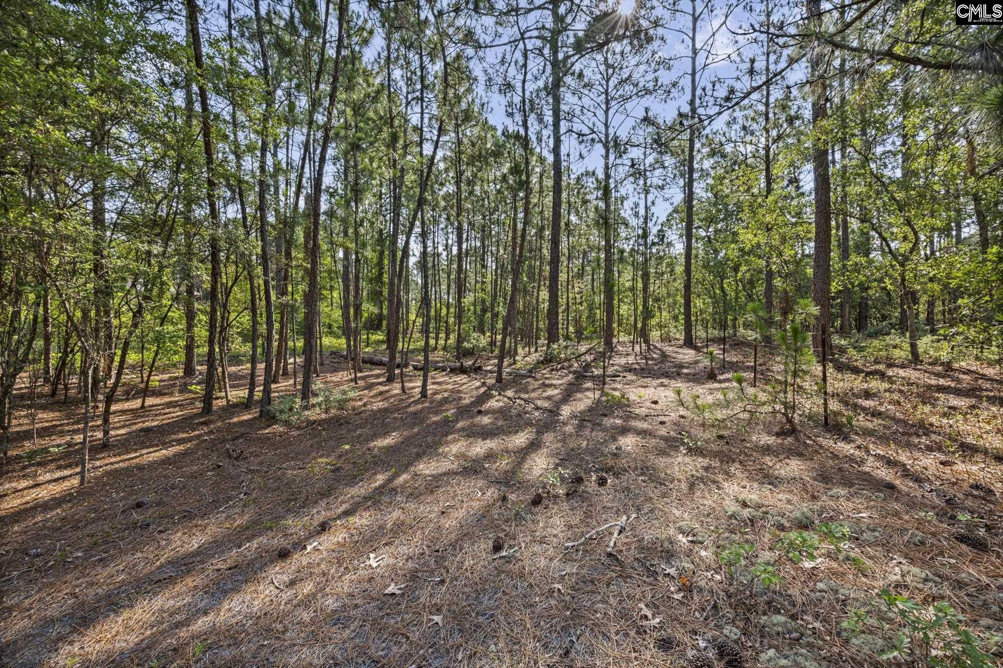 257 Rimrock Road Gilbert, SC 29054 - Photo 8 of 26