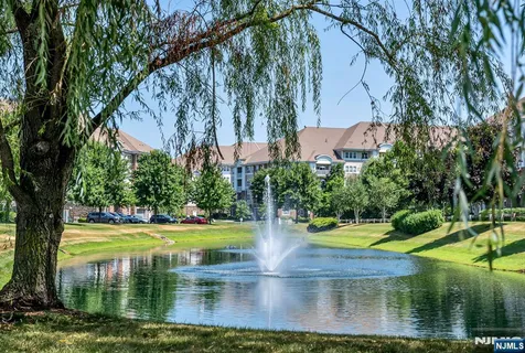 a view of a swimming pool with a yard and large trees
