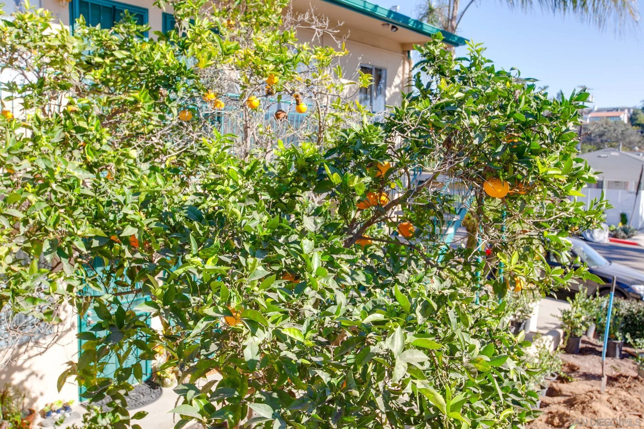 210 A Street, Unit 11 Encinitas, CA 92024 - Photo 18 of 49 a backyard of a house with lots of green space and a fountain