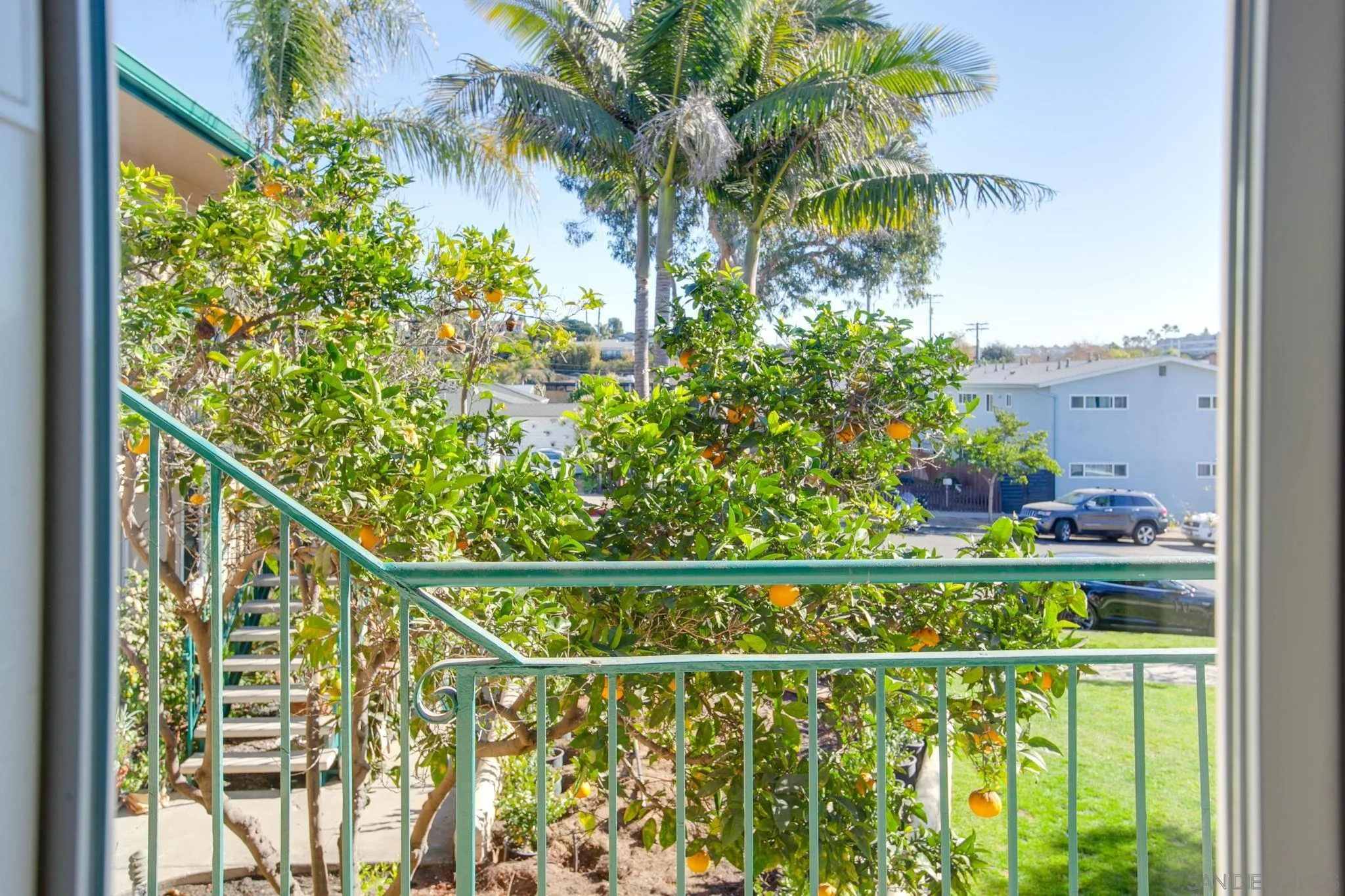 210 A Street, Unit 11 Encinitas, CA 92024 - Photo 19 of 49 a wooden floor with a tree in the background