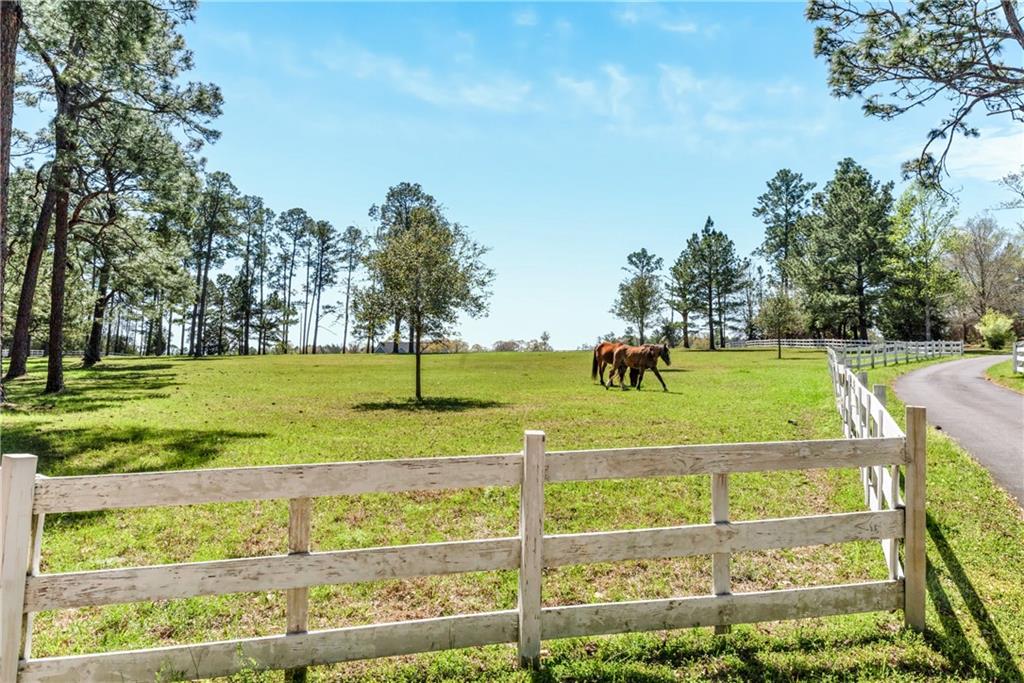 1223 Wire Road West Perkinston, MS 39573 - Photo 22 of 44