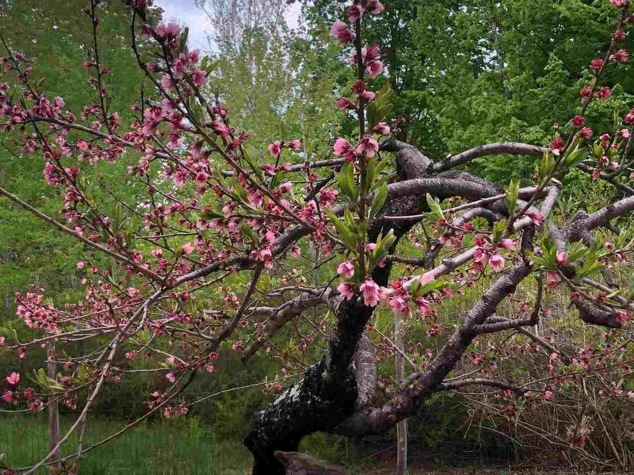 173 Wittenberg Road Bearsville, NY 12409 - Photo 25 of 34 Photo 25