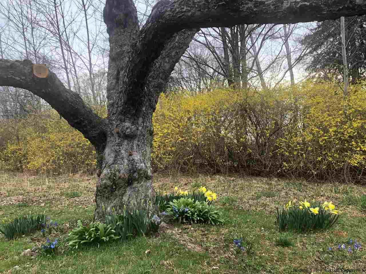 173 Wittenberg Road Bearsville, NY 12409 - Photo 26 of 34 Photo 26