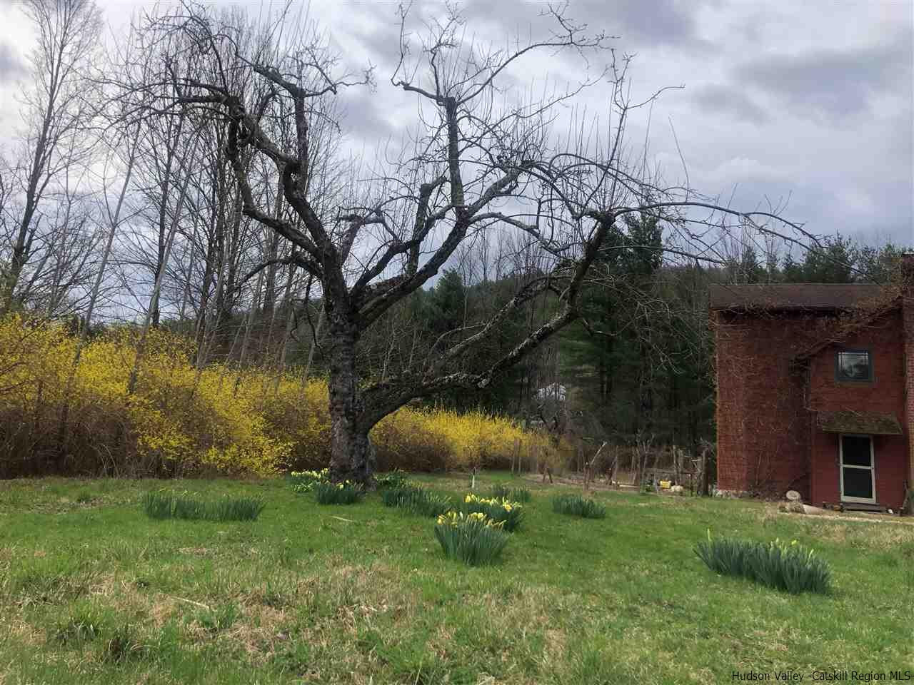 173 Wittenberg Road Bearsville, NY 12409 - Photo 31 of 34 Photo 31