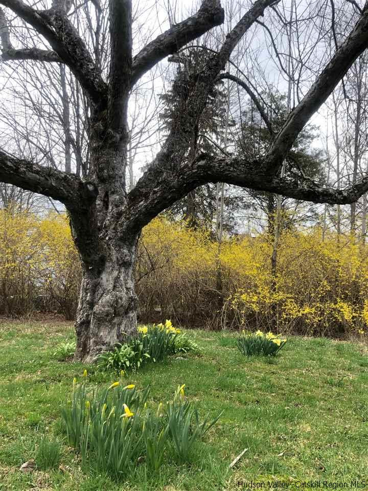 173 Wittenberg Road Bearsville, NY 12409 - Photo 32 of 34 Photo 32