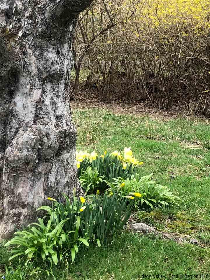 173 Wittenberg Road Bearsville, NY 12409 - Photo 33 of 34 Photo 33