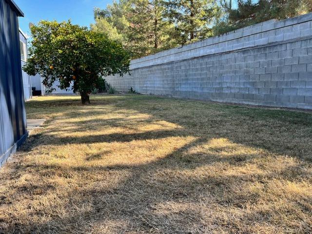 1500 Villa Avenue, Unit 23 Clovis, CA 93612 - Photo 10 of 33 a view of a backyard with a large tree