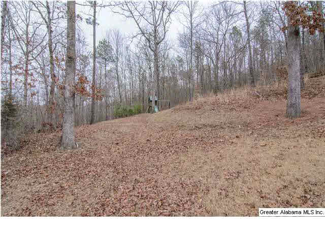220 Normandy Lane Chelsea, AL 35043 - Photo 32 of 32
