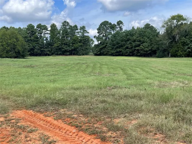a view of a green field with trees in the background