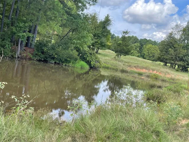 a view of a lake from a yard