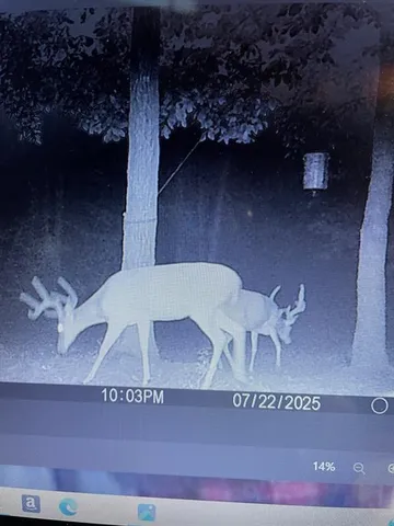 $175,000 | 7088 County Road 2345, Marietta, TX 75566