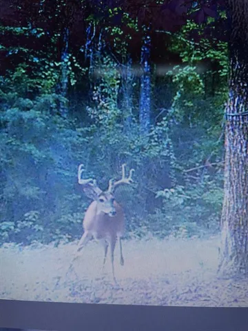 $175,000 | 7088 County Road 2345, Marietta, TX 75566