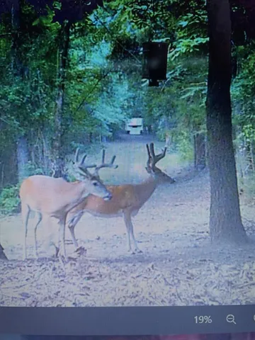 $175,000 | 7088 County Road 2345, Marietta, TX 75566